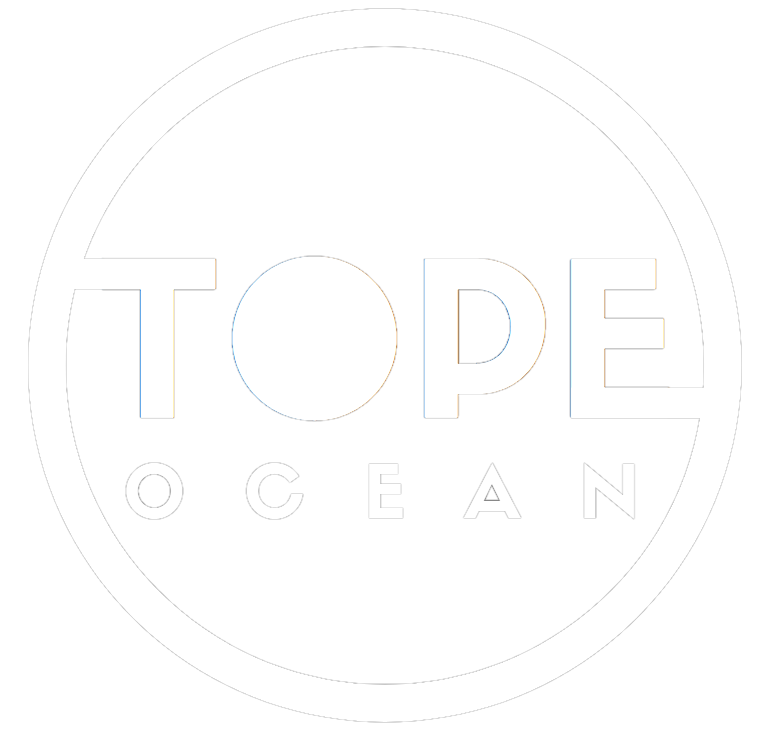 Tope Ocean – Innovation management for the marine sector